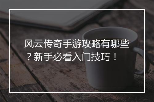 风云传奇手游攻略有哪些？新手必看入门技巧！