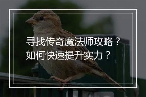 寻找传奇魔法师攻略？如何快速提升实力？