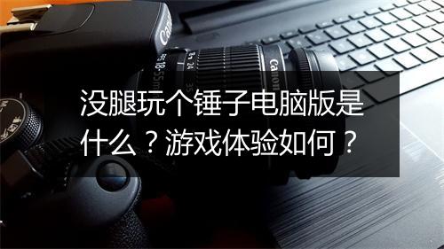 没腿玩个锤子电脑版是什么？游戏体验如何？