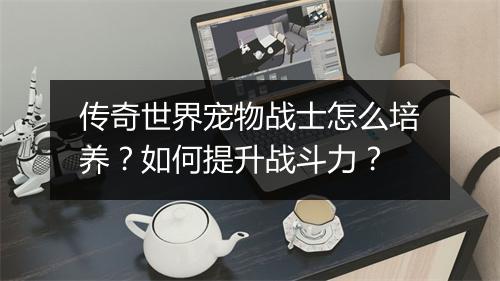 传奇世界宠物战士怎么培养？如何提升战斗力？