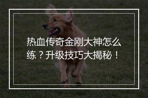 热血传奇金刚大神怎么练？升级技巧大揭秘！