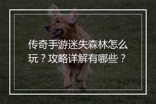 传奇手游迷失森林怎么玩？攻略详解有哪些？