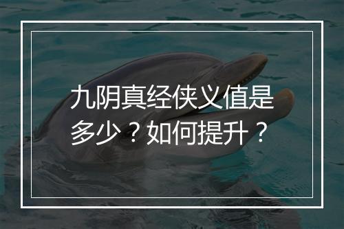 九阴真经侠义值是多少？如何提升？