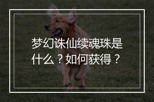 梦幻诛仙续魂珠是什么？如何获得？
