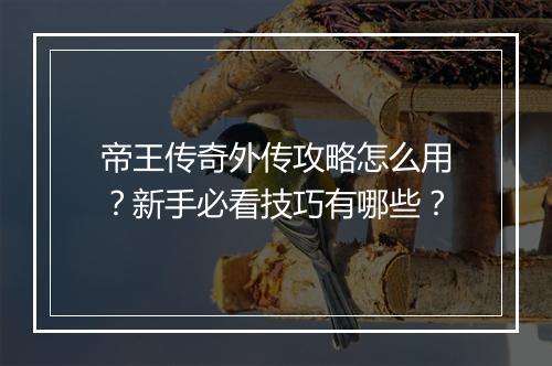 帝王传奇外传攻略怎么用？新手必看技巧有哪些？