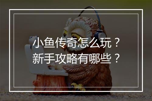 小鱼传奇怎么玩？新手攻略有哪些？