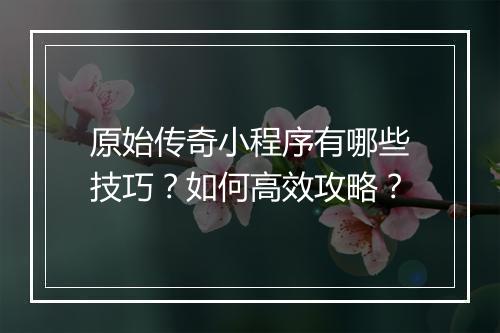 原始传奇小程序有哪些技巧？如何高效攻略？