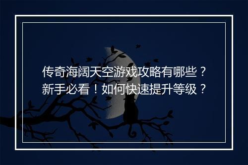 传奇海阔天空游戏攻略有哪些？新手必看！如何快速提升等级？