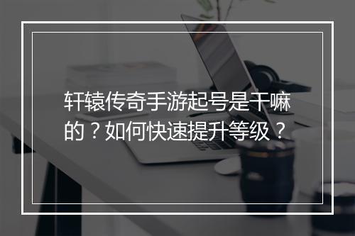 轩辕传奇手游起号是干嘛的？如何快速提升等级？