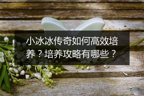 小冰冰传奇如何高效培养？培养攻略有哪些？