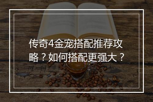 传奇4金宠搭配推荐攻略？如何搭配更强大？