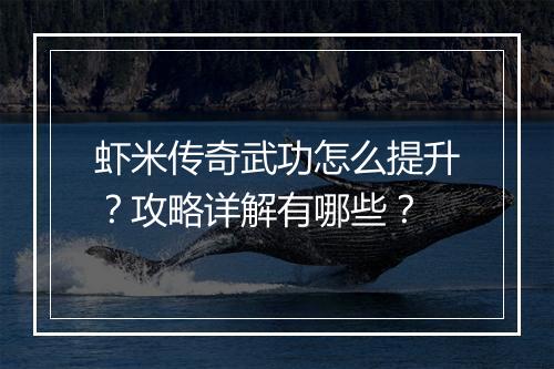 虾米传奇武功怎么提升？攻略详解有哪些？