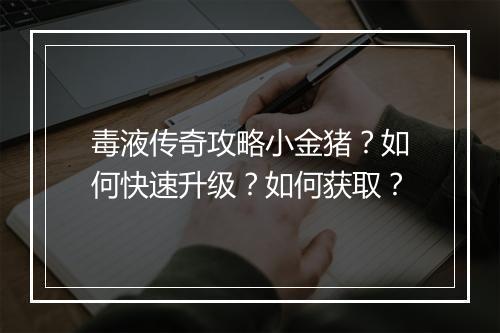 毒液传奇攻略小金猪？如何快速升级？如何获取？