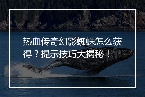 热血传奇幻影蜘蛛怎么获得？提示技巧大揭秘！