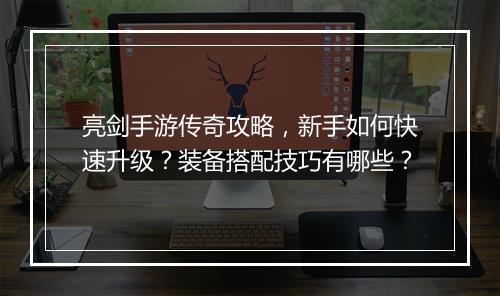 亮剑手游传奇攻略，新手如何快速升级？装备搭配技巧有哪些？