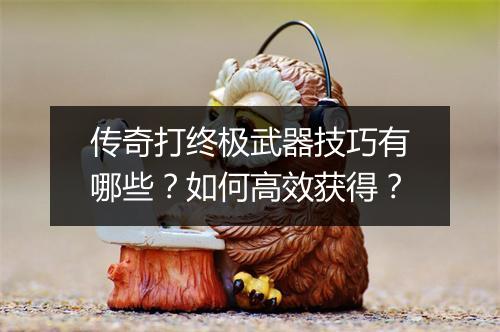 传奇打终极武器技巧有哪些？如何高效获得？