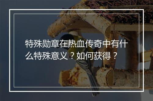 特殊勋章在热血传奇中有什么特殊意义？如何获得？