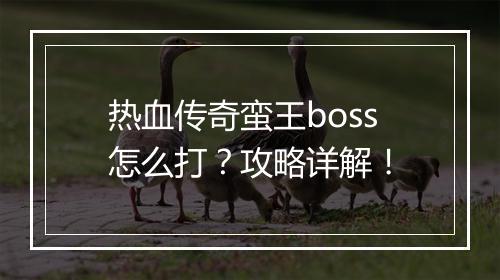 热血传奇蛮王boss怎么打？攻略详解！