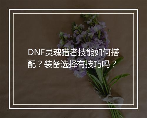 DNF灵魂猎者技能如何搭配？装备选择有技巧吗？