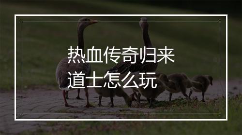 热血传奇归来道士怎么玩
