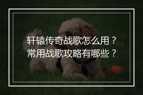 轩辕传奇战歌怎么用？常用战歌攻略有哪些？