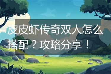 皮皮虾传奇双人怎么搭配？攻略分享！