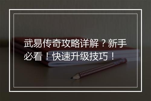 武易传奇攻略详解？新手必看！快速升级技巧！