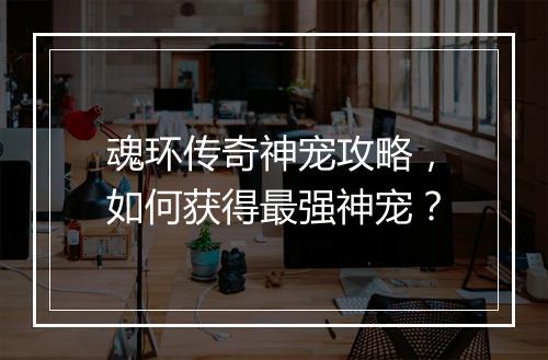 魂环传奇神宠攻略，如何获得最强神宠？