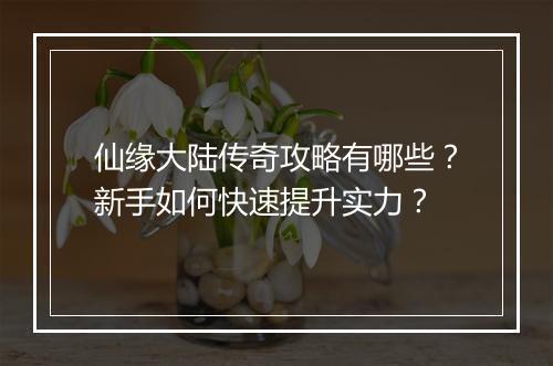 仙缘大陆传奇攻略有哪些？新手如何快速提升实力？