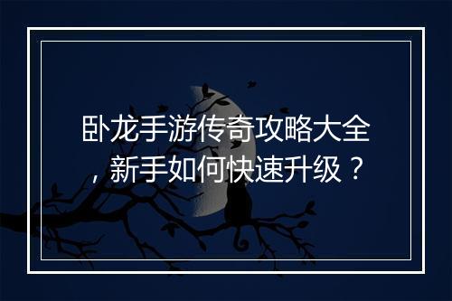 卧龙手游传奇攻略大全，新手如何快速升级？