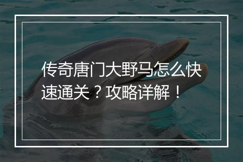 传奇唐门大野马怎么快速通关？攻略详解！