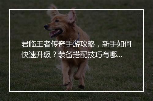 君临王者传奇手游攻略，新手如何快速升级？装备搭配技巧有哪些？