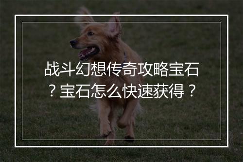 战斗幻想传奇攻略宝石？宝石怎么快速获得？