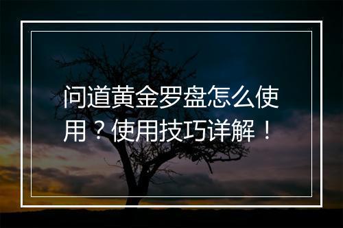 问道黄金罗盘怎么使用？使用技巧详解！