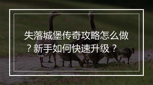 失落城堡传奇攻略怎么做？新手如何快速升级？