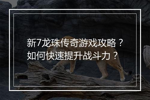 新7龙珠传奇游戏攻略？如何快速提升战斗力？