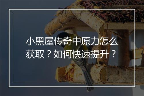 小黑屋传奇中原力怎么获取？如何快速提升？