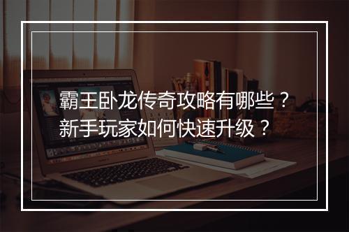 霸王卧龙传奇攻略有哪些？新手玩家如何快速升级？
