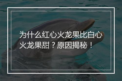 为什么红心火龙果比白心火龙果甜？原因揭秘！