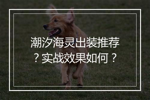 潮汐海灵出装推荐？实战效果如何？