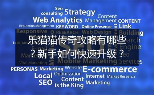 乐猫猫传奇攻略有哪些？新手如何快速升级？