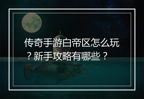 传奇手游白帝区怎么玩？新手攻略有哪些？