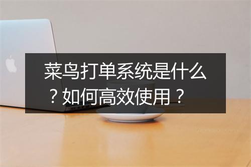 菜鸟打单系统是什么？如何高效使用？