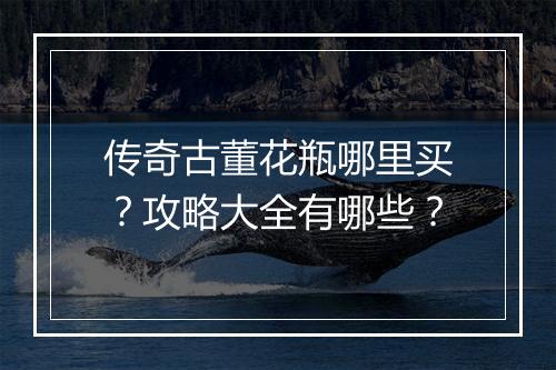 传奇古董花瓶哪里买？攻略大全有哪些？