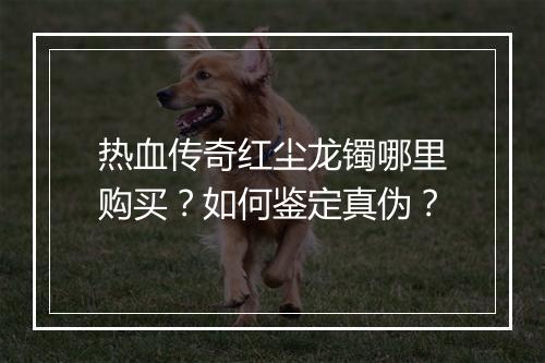 热血传奇红尘龙镯哪里购买？如何鉴定真伪？