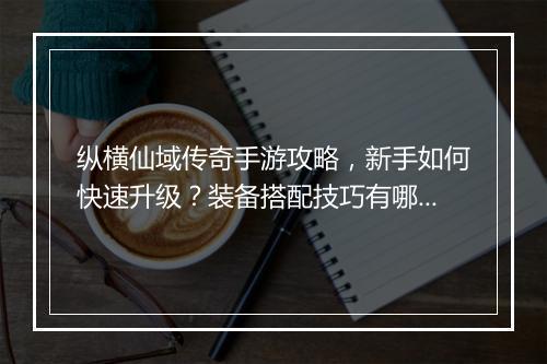 纵横仙域传奇手游攻略，新手如何快速升级？装备搭配技巧有哪些？