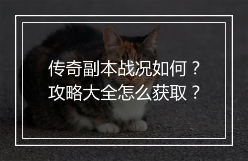传奇副本战况如何？攻略大全怎么获取？