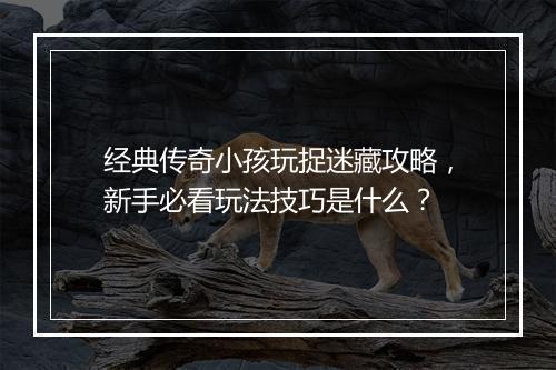 经典传奇小孩玩捉迷藏攻略，新手必看玩法技巧是什么？