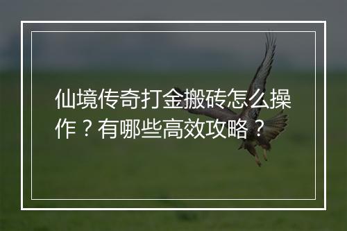 仙境传奇打金搬砖怎么操作？有哪些高效攻略？