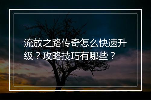 流放之路传奇怎么快速升级？攻略技巧有哪些？